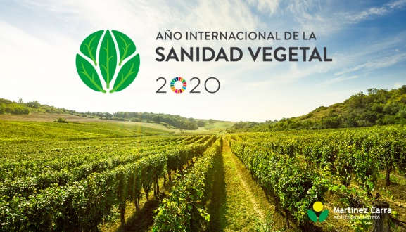 2020: Año internacional de la Sanidad Vegetal 2020.