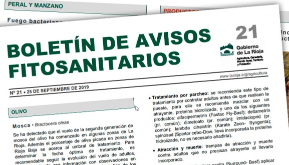 Boletín 21 de avisos fitosanitarios de La Rioja | 2019