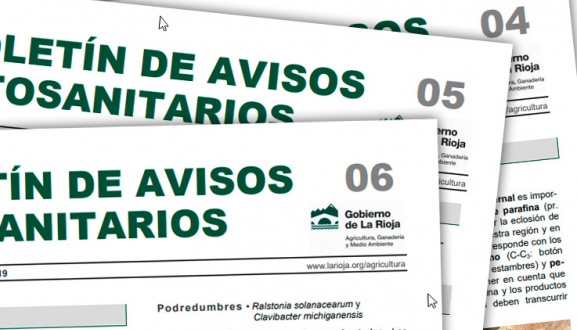 Boletín 4, 5 y 6 de avisos fitosanitarios del Gobierno de La Rioja