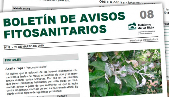 Boletín 08 de avisos fitosanitarios de La Rioja | 2019