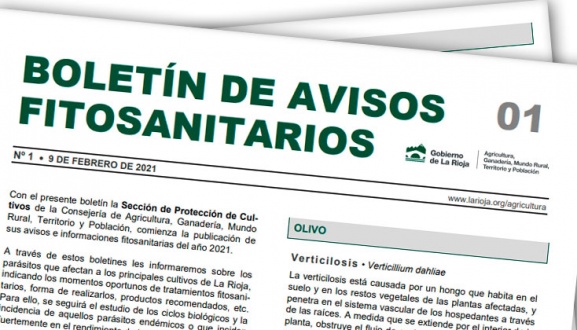 Boletín 1 de avisos fitosanitarios de La Rioja | 2021