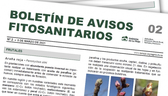 Boletín 2 de avisos fitosanitarios de La Rioja | 2021