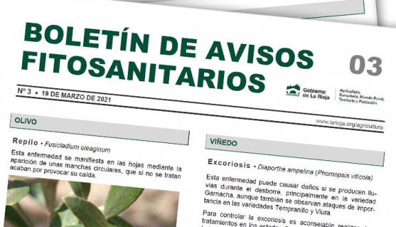 Boletín 3 de avisos fitosanitarios de La Rioja | 2021