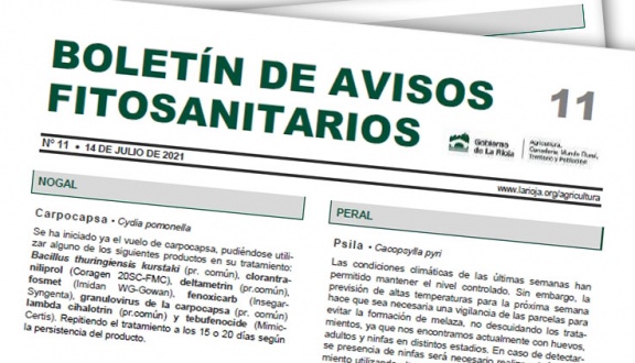 Boletín 11 de avisos fitosanitarios de La Rioja | 2021