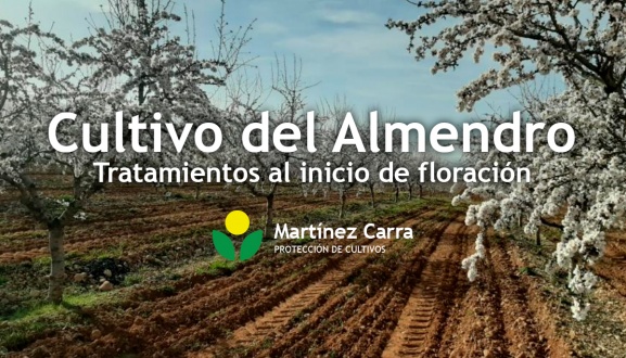 Cultivo del Almendro Riojano - Tratamientos al inicio de floración 2021