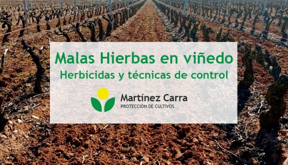 Control de Malas Hierbas en el Viñedo. Técnicas y Herbicidas.