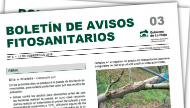Boletín 03 de avisos fitosanitarios de La Rioja | 2019
