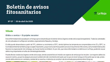 Boletín 7 de avisos fitosanitarios de La Rioja | 2023