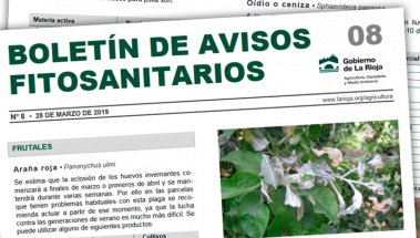 Boletín 08 de avisos fitosanitarios de La Rioja | 2019