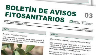 Boletín 3 de avisos fitosanitarios de La Rioja | 2021