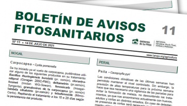 Boletín 11 de avisos fitosanitarios de La Rioja | 2021