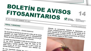 Boletín 14 de avisos fitosanitarios de La Rioja | 2021
