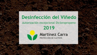 Autorización excepcional para desinfección de suelos de viñedos en La Rioja