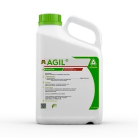 Agil de Adama