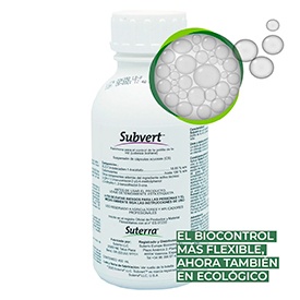 Subvert de Suterra