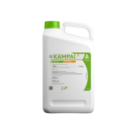 Kampai de Adama