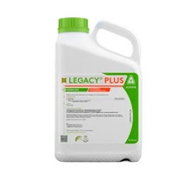 Legacy plus de adama