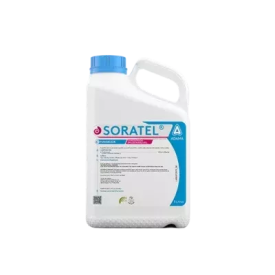 Soratel de Adama