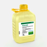 Corum de BASF