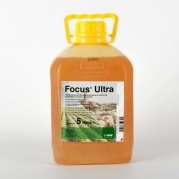 Focus Ultra