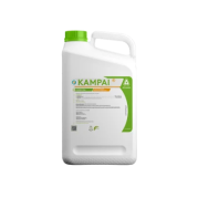 Kampai de Adama